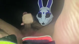 Construction Bunny